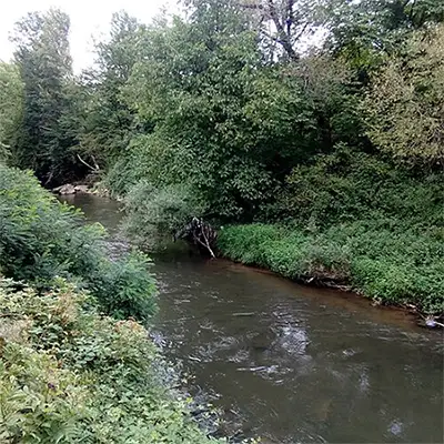 Река Калник