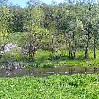 Каялийка