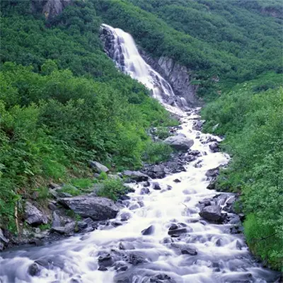 Копривен