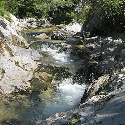 Река Лешница