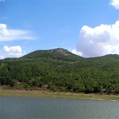 Пакуша