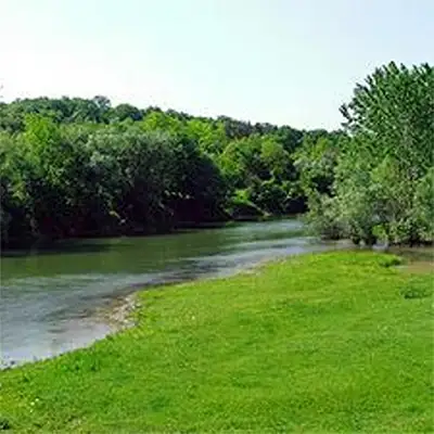 Рибине