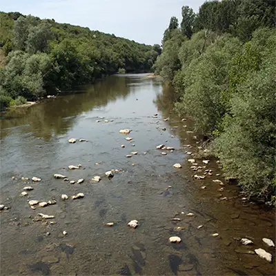 Шаварна