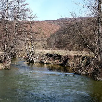 Река Явор