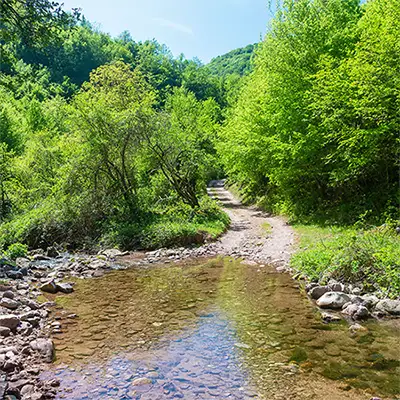 Река Златица