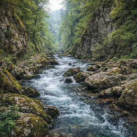 Салашка река