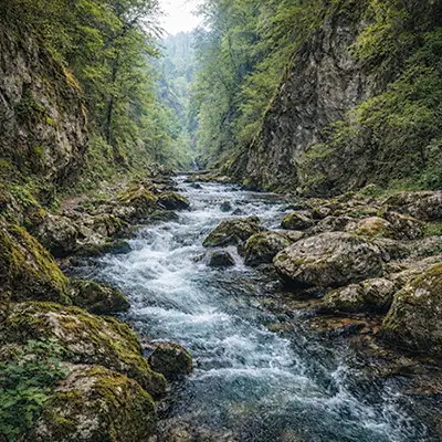 Салашка река