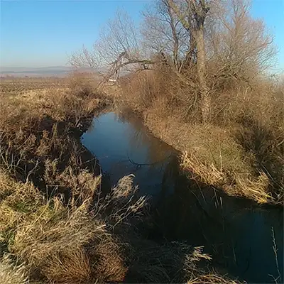 Сливнишка река