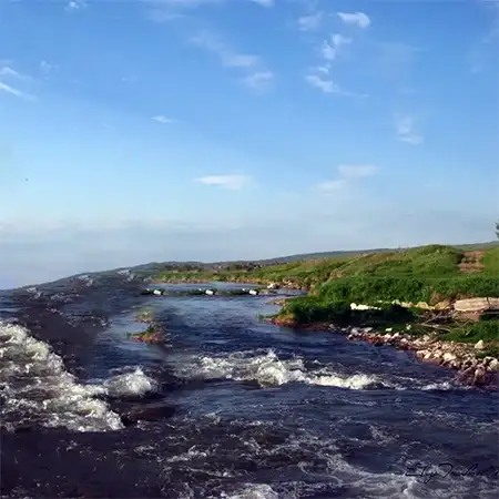 Цапаревска река