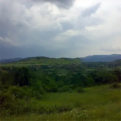 Варненска низина