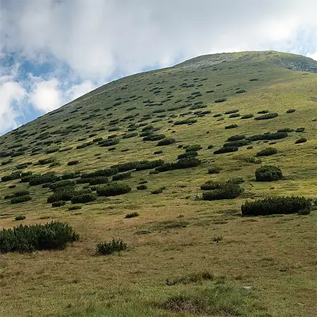 Аладжа слап