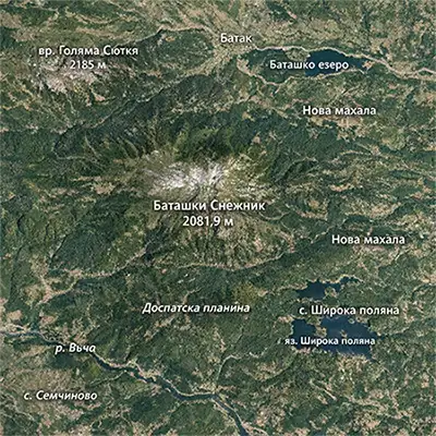 Баташки Снежник