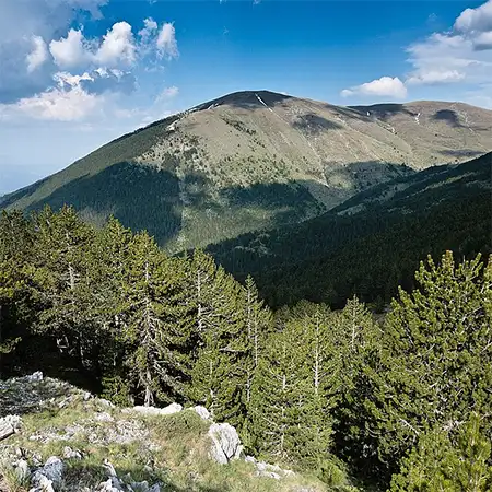 Голям Царев връх