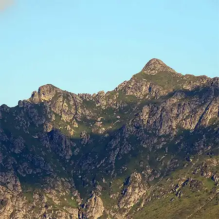 Кръстците