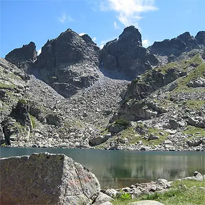 Купените