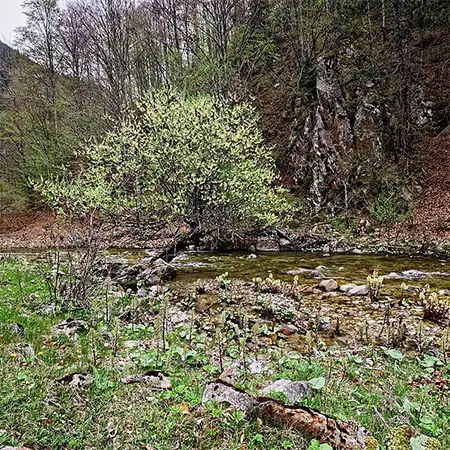 Резерват Казаните