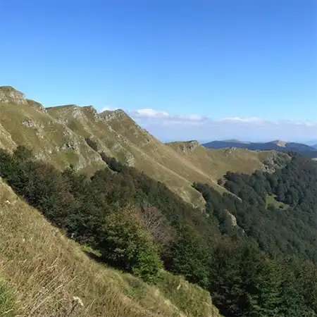 Резерват Пеещи скали