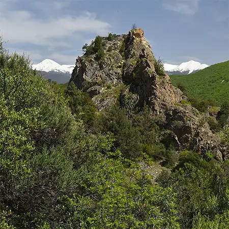 Резерват Тисата