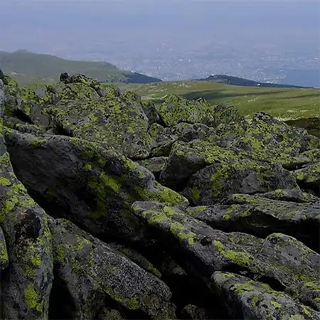 Резерват Торфено бранище