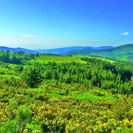 Резерват Църна река