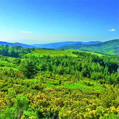 Резерват Църна река