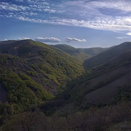 Резерват Вълчи дол