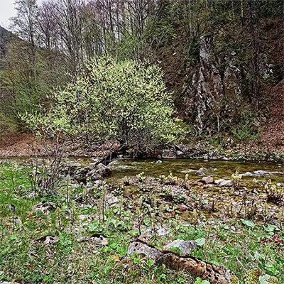Резерват Казаните