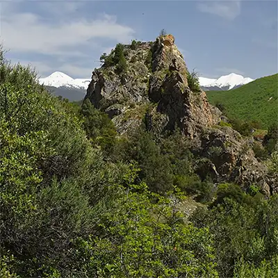 Резерват Тисата