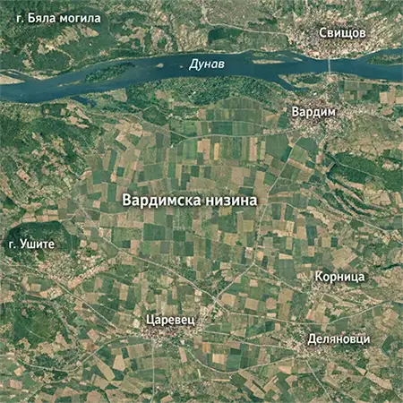 Вардимска низина
