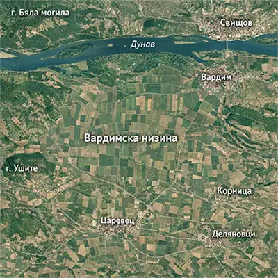 Вардимска низина
