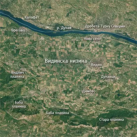 Видинска низина