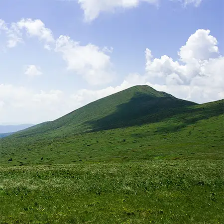 Връх Ком