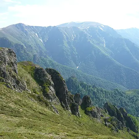Връх Параджика