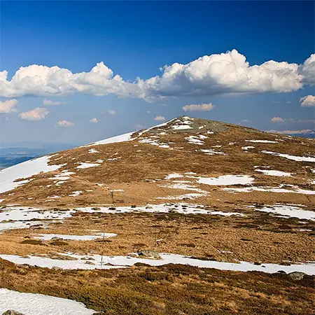 Връх Скопарник
