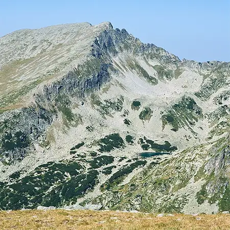 Връх Яловарника