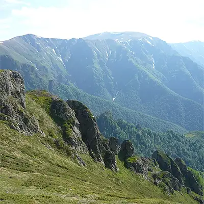 Връх Параджика