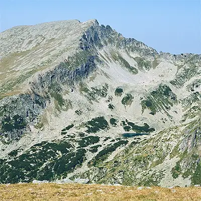 Връх Яловарника