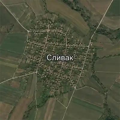 Сливак