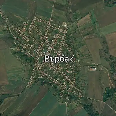 Върбак