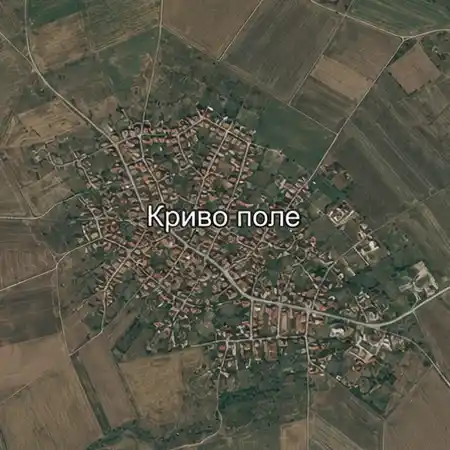 Криво поле