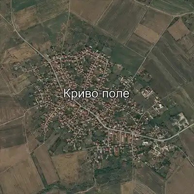 Криво поле