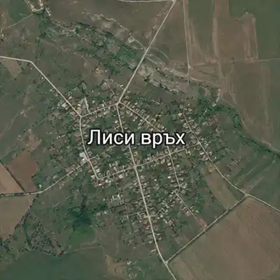 Лиси връх