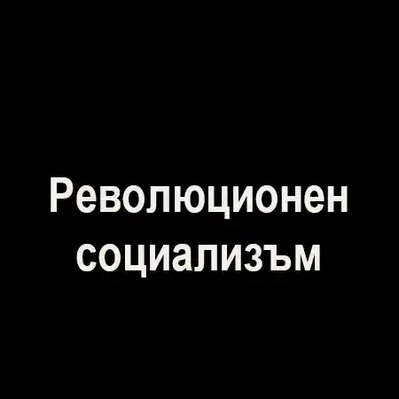 Революционен социализъм