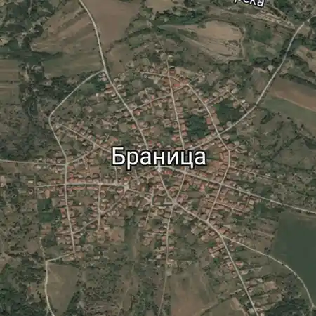 Браница