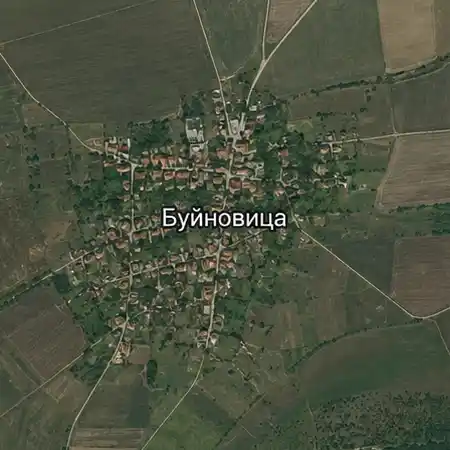 Буйновица