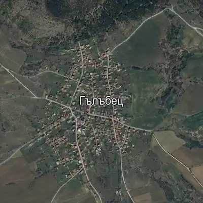 Гълъбец (област Хасково)