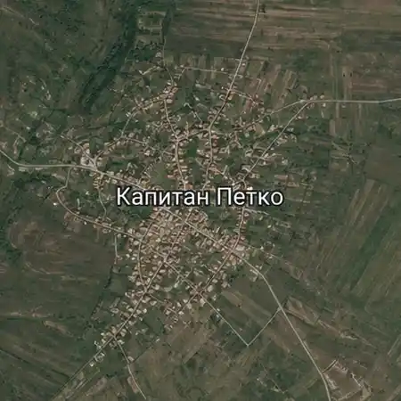Капитан Петко