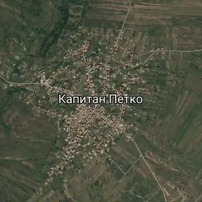 Капитан Петко