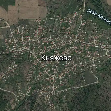 Село Княжево