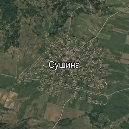 Сушина
